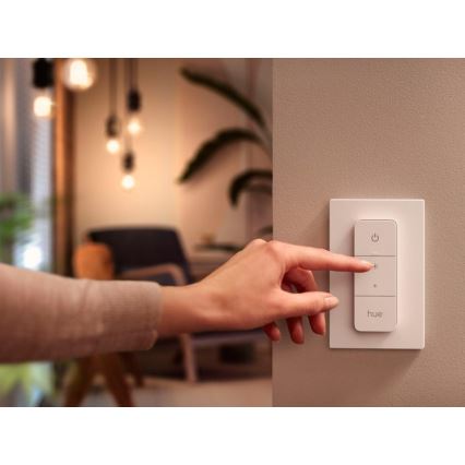 Dimmschalter Philips Hue V2 1xCR2032