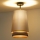 Duolla - Aufbauleuchte BELL SHINY 1xE27/15W/230V d 25 cm silbern/schwarz