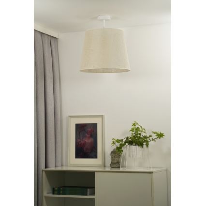 Duolla - Aufbauleuchte YUTE 1xE27/15W/230V d 38 cm grau