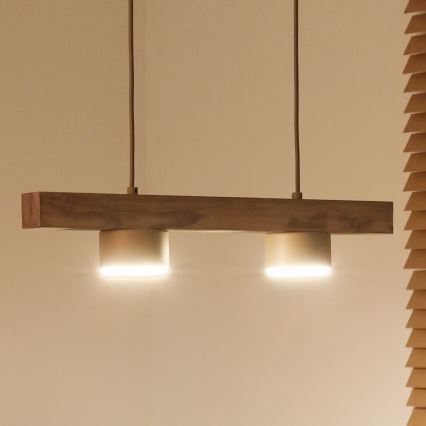 Duolla - Hängeleuchte an Kabel IRONLINE 2xGX53/3W/230V Kiefer Eiche/beige