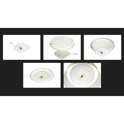 Duolla - LED-Deckenleuchte LUNETA LED/26W/230V d 60 cm 4000K grün/golden/weiß