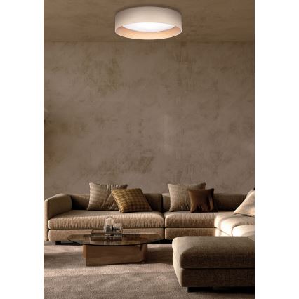 Duolla - LED-Deckenleuchte ROLLER LED/24W/230V d 45 cm Esche