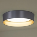 Duolla - LED-Deckenleuchte ROLLER LED/24W/230V silbern/golden