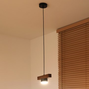 Duolla - Pendelleuchte an Kabel IRONLINE 1xGX53/3W/230V Kiefer/Eiche/Schwarz