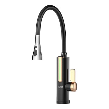 Durchlauferhitzer mit LED-Display 3000 W/230 V IPX4 schwarz/gold