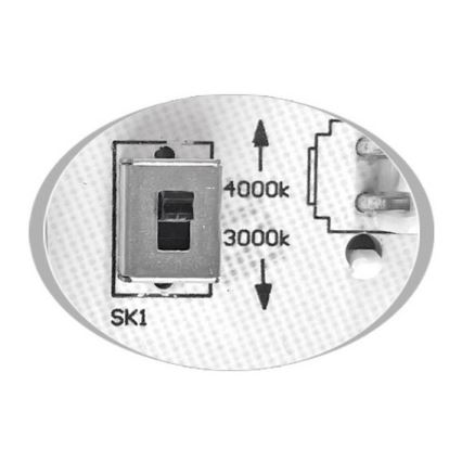 LED-Deckenleuchte für Außenbereiche MARTIN LED/15W/230V 3000/4000K d 30 cm IP65 weiß