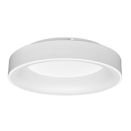 LED Dimmbares Deckenleuchte NEST LED/40W/230V 3000-6500K Weiß