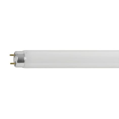 Eglo 12195 - Leuchtstoffröhre T8/58W/230V