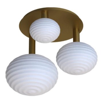 Eglo 300498 - Aufbau-Deckenleuchte ERCALTO 3xE27/25W/230V goldfarben