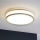 Eglo 31025 - Deckenleuchte PALERMO für Badezimmer, 1x E14/40W/230V, IP44