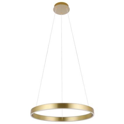 Eglo 33484 - LED-Hängeleuchte mit Seilaufhängung ALCAZABA 2xLED/18W/230V 3000K Ø 55 cm goldfarben