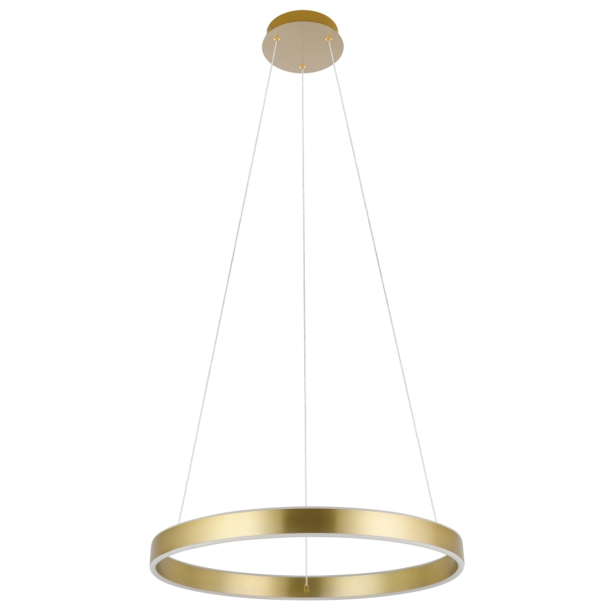 Eglo 33484 - LED-Hängeleuchte mit Seilaufhängung ALCAZABA 2xLED/18W/230V 3000K Ø 55 cm goldfarben