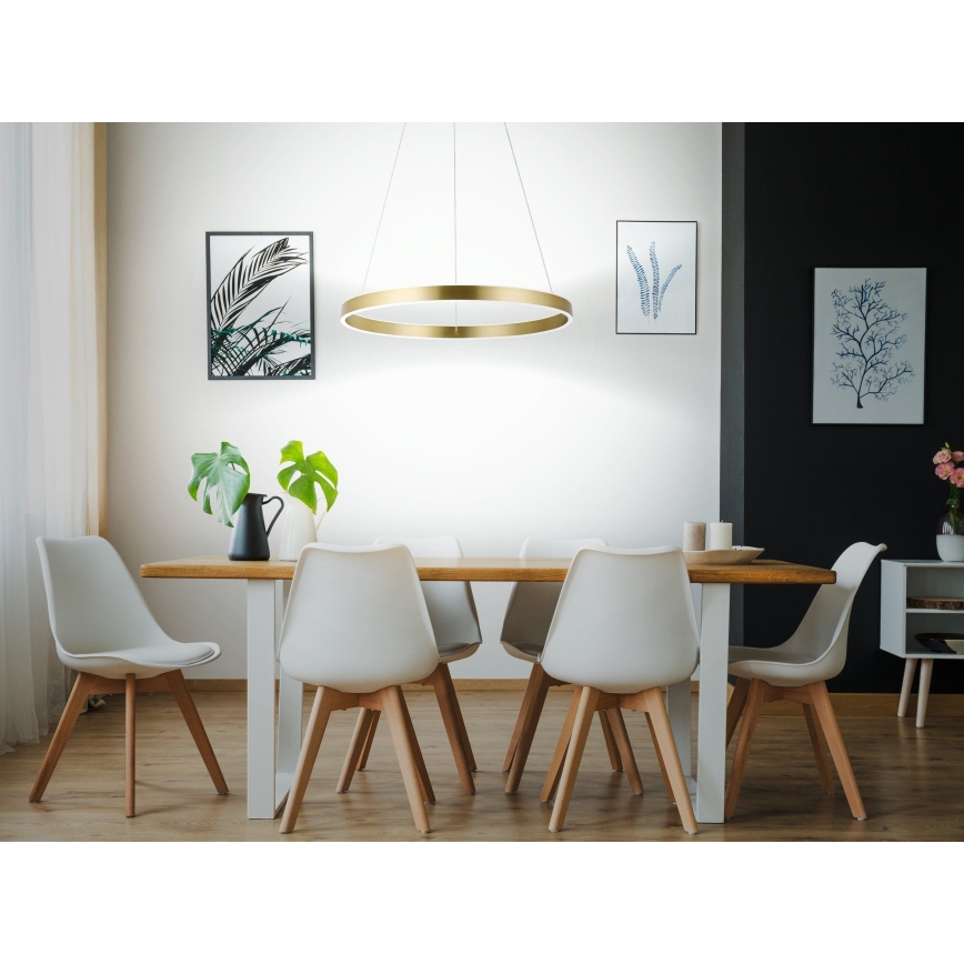 Eglo 33484 - LED-Hängeleuchte mit Seilaufhängung ALCAZABA 2xLED/18W/230V 3000K Ø 55 cm goldfarben