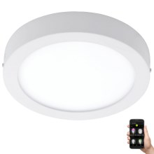 Eglo 33575 - Dimmbare LED-Leuchte für das Badezimmer ARGOLIS-C LED/16,5W/230V IP44 weiß