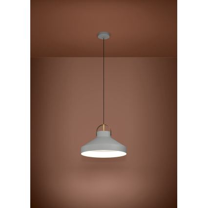 Eglo - Hängeleuchte 1xE27/40W/230V grau