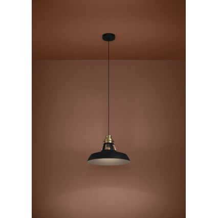 Eglo - Hängeleuchte 1xE27/40W/230V schwarz/golden