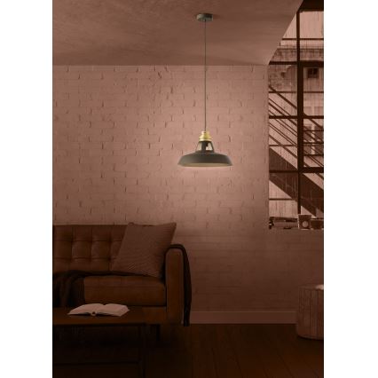 Eglo - Hängeleuchte 1xE27/40W/230V schwarz/golden