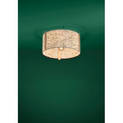 Eglo - Deckenleuchte 1xE27/25W/230V beige