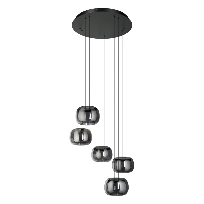 Eglo - Dimmbare LED-Pendelleuchte an Stahlseil 5xLED/5,8W/230V schwarz/rauchglas