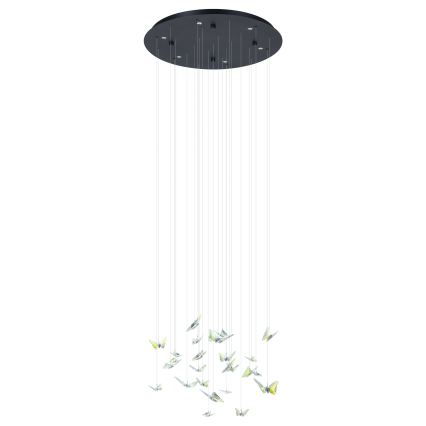 Eglo - LED dimmbare Pendelleuchte an Kabel 6xLED/4,2W/230V schwarz/transparent