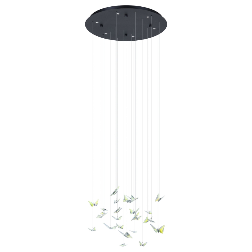 Eglo - LED dimmbare Pendelleuchte an Kabel 6xLED/4,2W/230V schwarz/transparent