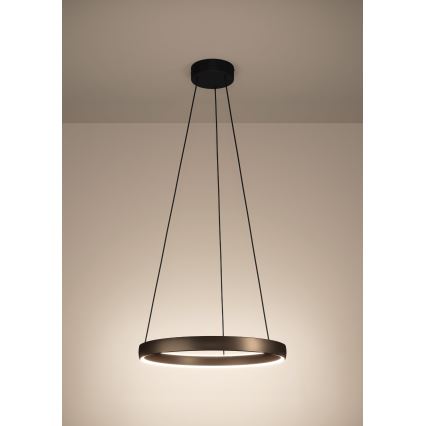 Eglo Stars of Light - LED-dimmbare Pendelleuchte mit Seilaufhängung und Bewegungsmelder 2xLED/19W/230V 2200-6500K Ø 55 cm braun
