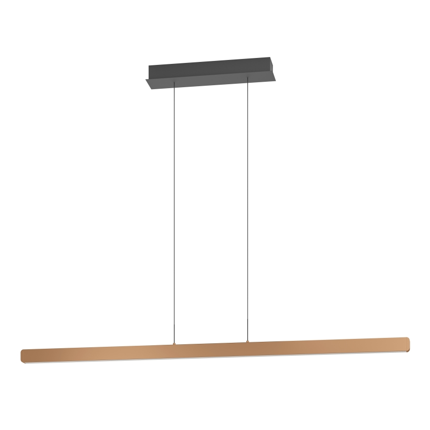 Eglo Stars of Light - LED-dimmbare Hängeleuchte an Seil LED/30W/230V 2200-6500K goldfarben + Fernbedienung