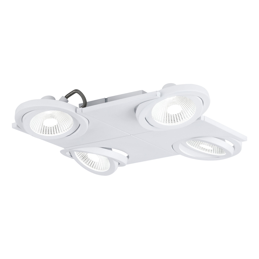 Eglo 39136 - LED Spotlight BREA 4xLED/5W/230V/12V