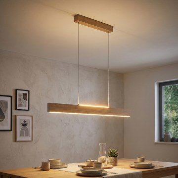 Eglo 39344 - LED-Pendelleuchte an Stahlseil CLIMENE LED/17W/230V + LED/4,2W Eiche