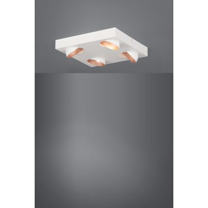 Eglo - LED Dimmbare Deckenleuchte 4xLED/3,3W/230V