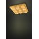 Eglo - LED Dimmbare Leuchte 4xLED/5,4W/230V + 9xLED/4,5W
