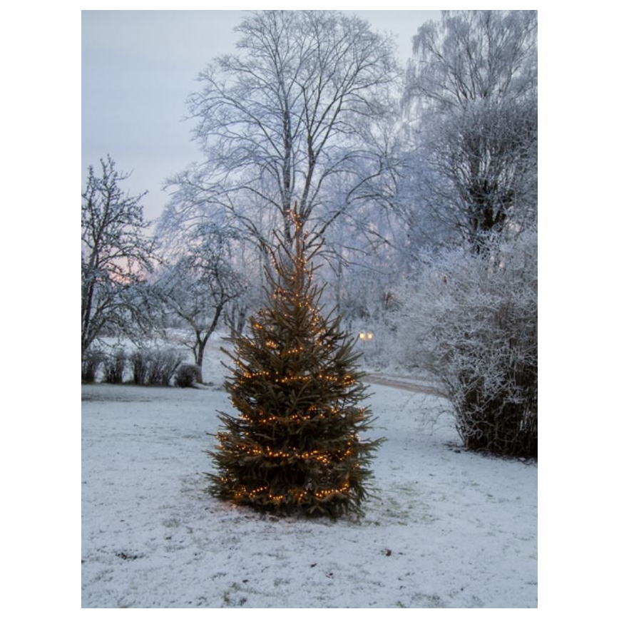 Eglo - LED Außen-Lichterkette 1200 LEDs 29 m IP44 warmweiß