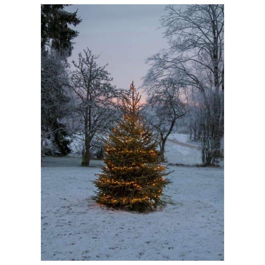 Eglo - LED Außen-Weihnachtslichterkette 1200xLED 29m IP44 warmweiß
