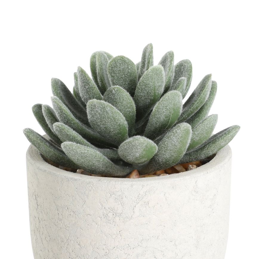 Eglo - Künstliche Pflanze im Blumentopf 11x8 cm Sukkulent
