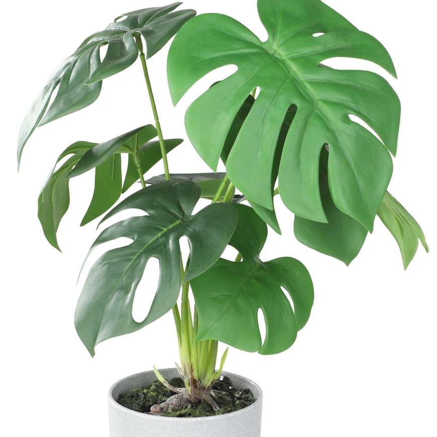 Eglo - Künstliche Pflanze in Blumentopf 42x30 cm Monstera