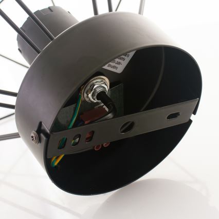 Eglo - Deckenleuchte 1xE27/60W/230V