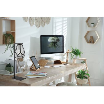 Eglo - Tischleuchte 1xE27/40W/230V