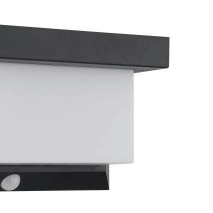 Eglo - LED-Solarwandleuchte mit Sensor LED/3,84W/3,7V 2000 mAh IP44
