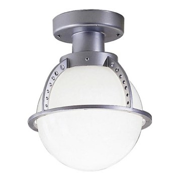 EGLO 6211 - Outdoor-Deckenleuchte BORA 1xE27/100W