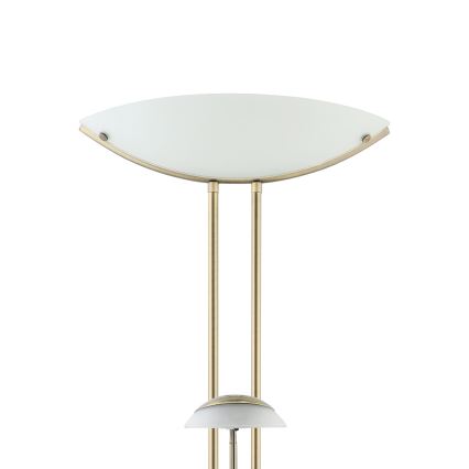 EGLO - Dimmbare Stehleuchte BAYA 1xR7s/230W + 1xG9/33W bronzen