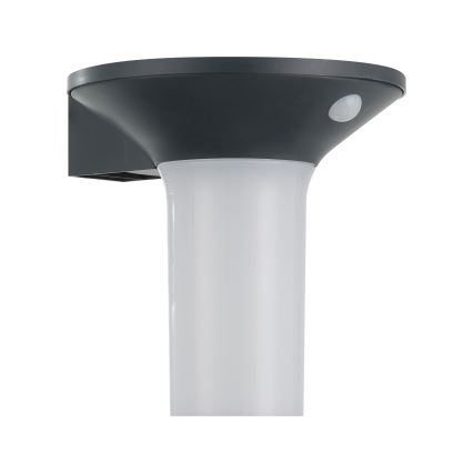 Eglo - LED Solar-Außenleuchte mit Sensor 6xLED/0,03W/3,7V IP44