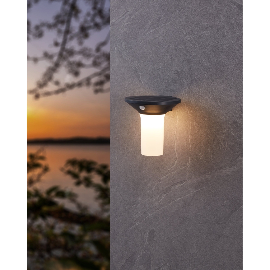 Eglo - LED Solar-Außenleuchte mit Sensor 6xLED/0,03W/3,7V IP44