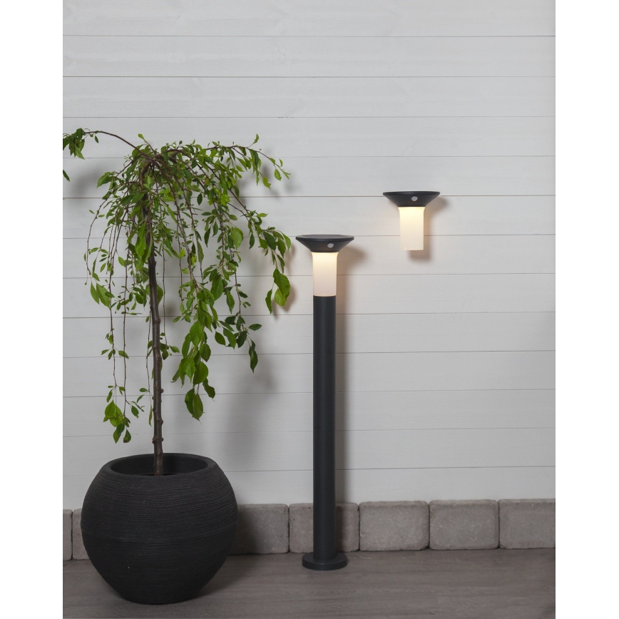Eglo - LED Solar-Außenleuchte mit Sensor 6xLED/0,03W/3,7V IP44