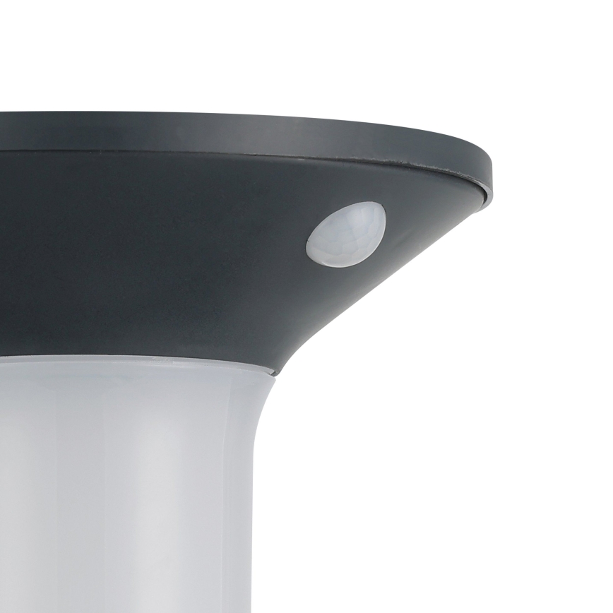 Eglo - LED Solar-Außenleuchte mit Sensor 6xLED/0,03W/3,7V IP44