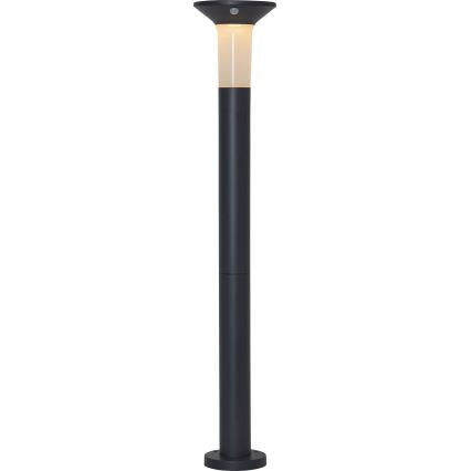 Eglo - LED Außen Solarleuchte mit Sensor 6xLED/0,03W/3,7V 1500 mAh IP44