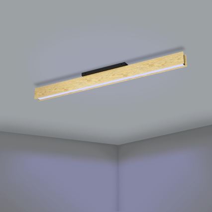 Eglo - Dimmbare LED-RGBW-Deckenleuchte LED/35W/230V 2700-6500K