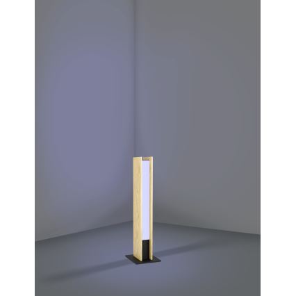 Eglo - Dimmbare LED-RGBW-Tischleuchte LED/16W/230V 2700-6500K