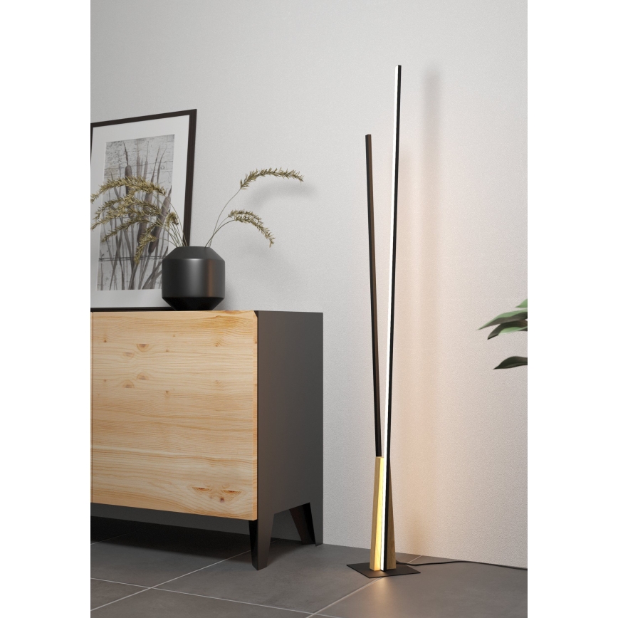 Eglo - LED Stehlampe LED/24W/230V