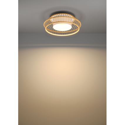 Eglo - Dimmbare LED-RGBW-Deckenleuchte LED/22W/230V 2700-6500K