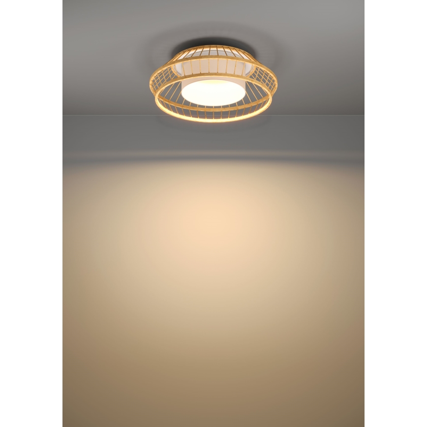 Eglo - Dimmbare LED-RGBW-Deckenleuchte LED/22W/230V 2700-6500K